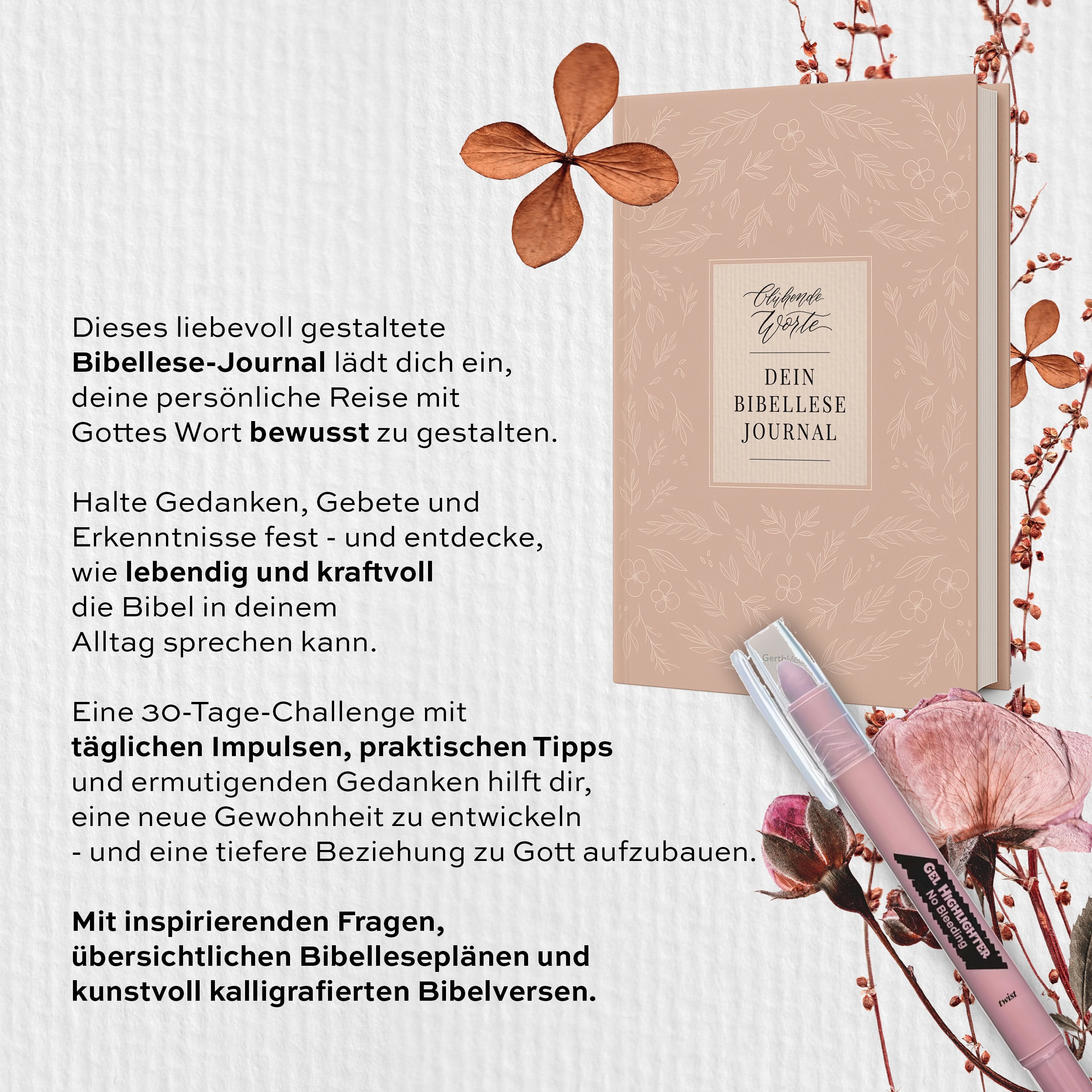 Bibellese Journal jeannette Mokosch blühende Worte Buchvorbestellung Bibel Journaling Bibelleseplan