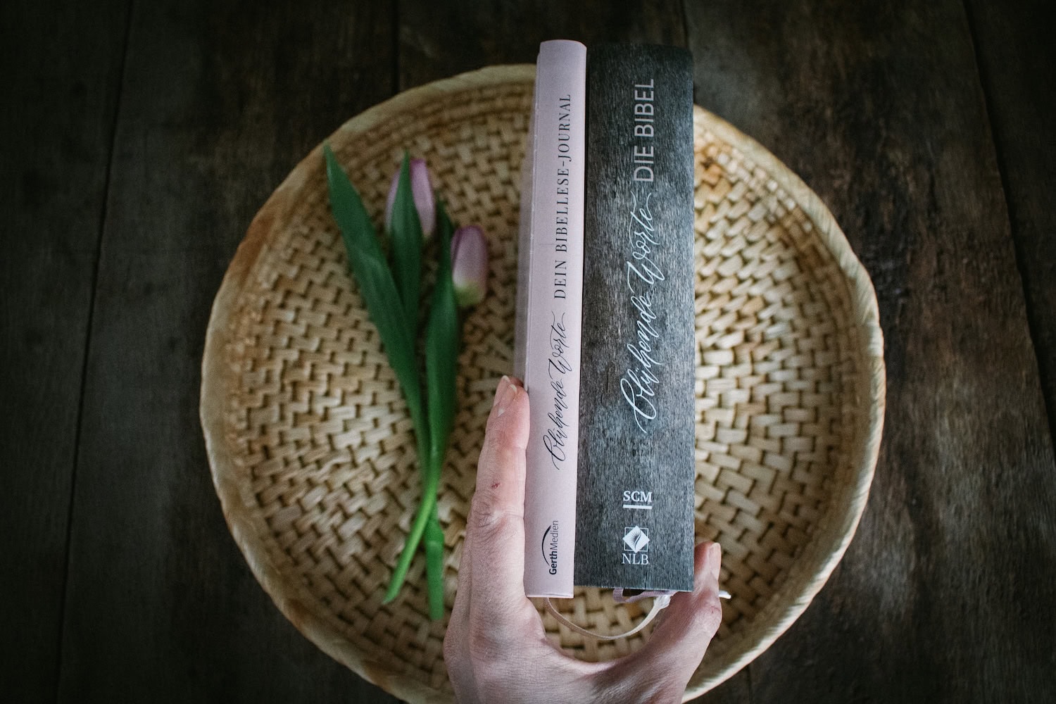 Dein Bibellese Journal von Jeannette Mokosch