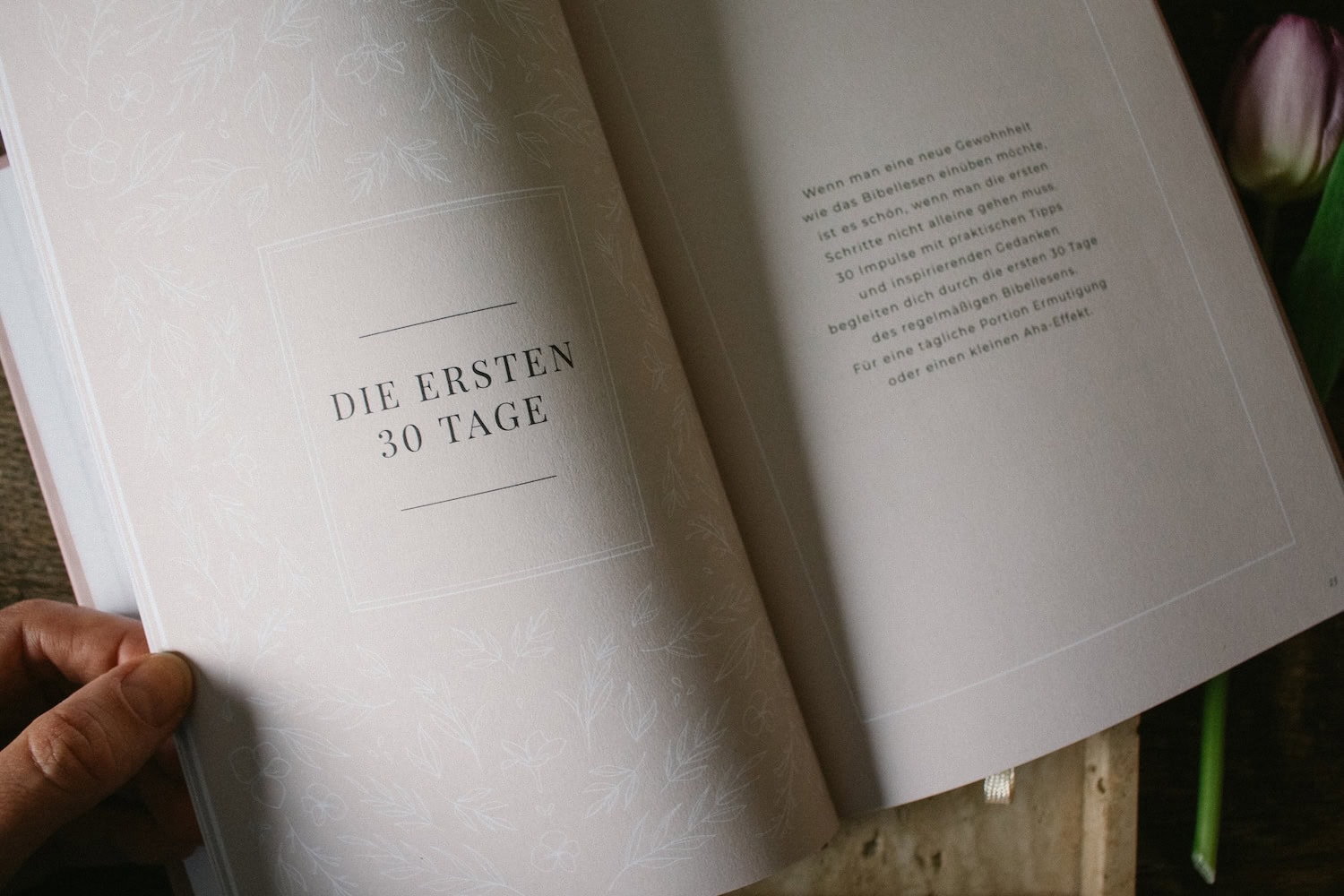 Für deine Andacht: Verse notieren, Fragen beantworten, Gottes Stimme erkennen – im Dein Bibellese Journal.