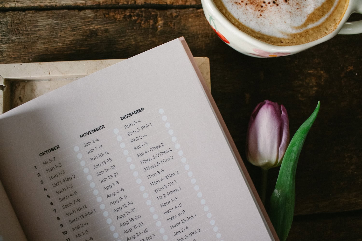 Bibelleseplan die ganze Bibel in einem Jahr lesen