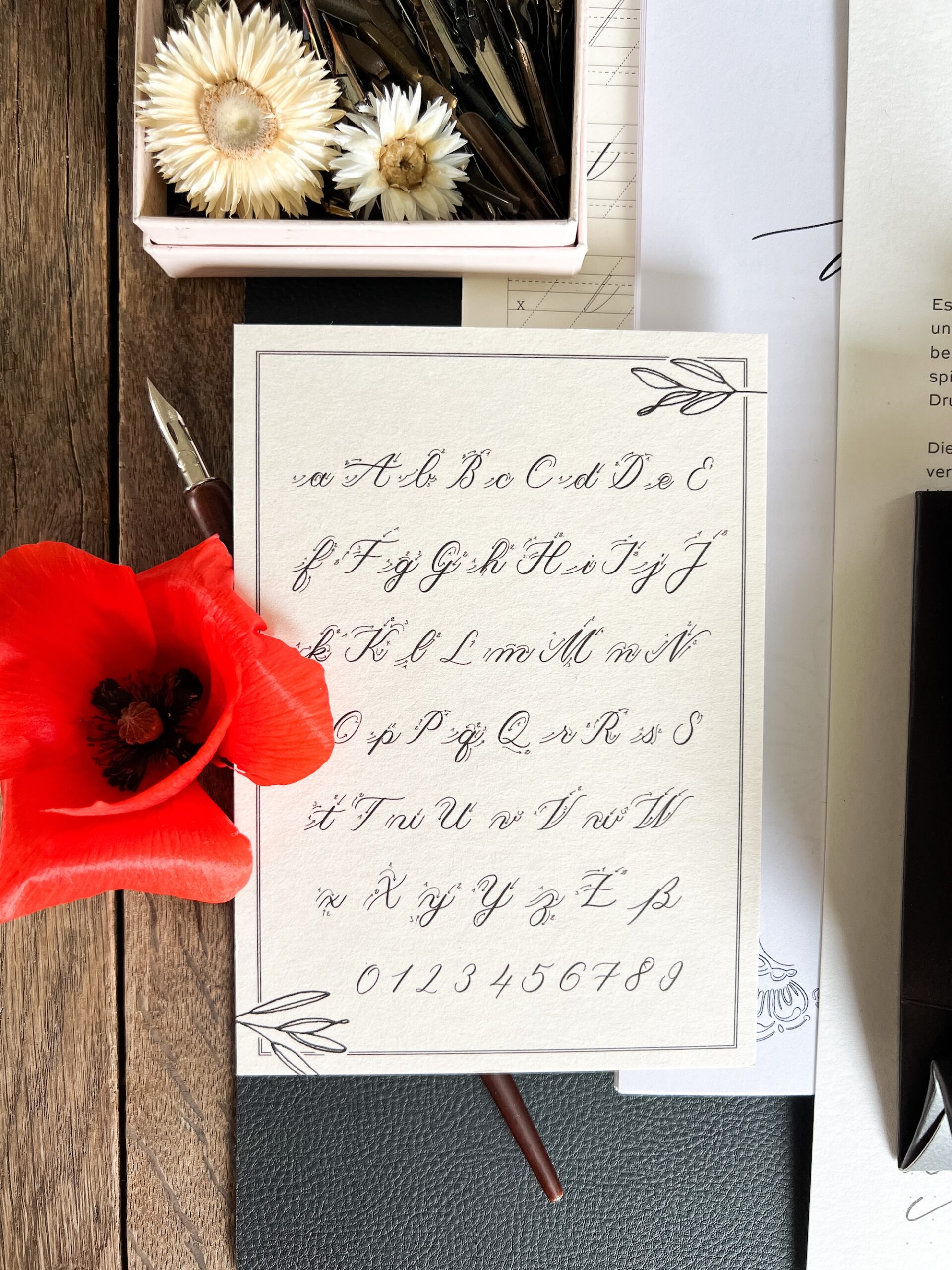 kalligrafie set spitzfeder_6977 3